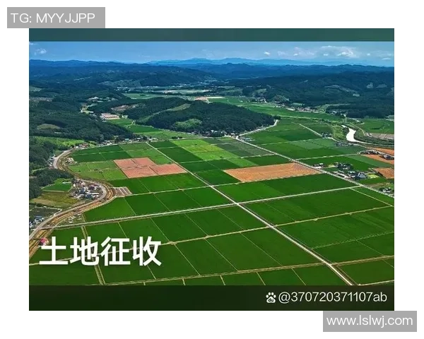 探讨那些未曾为人父的足球明星及其生活选择 探讨那些未曾为人父的足球明星及其生活选择