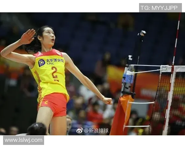 权威发布：排球状态实力榜单