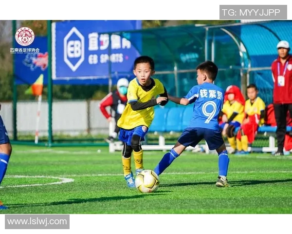 樊姓足球明星的崛起与成就解析以及对中国足球的影响与贡献